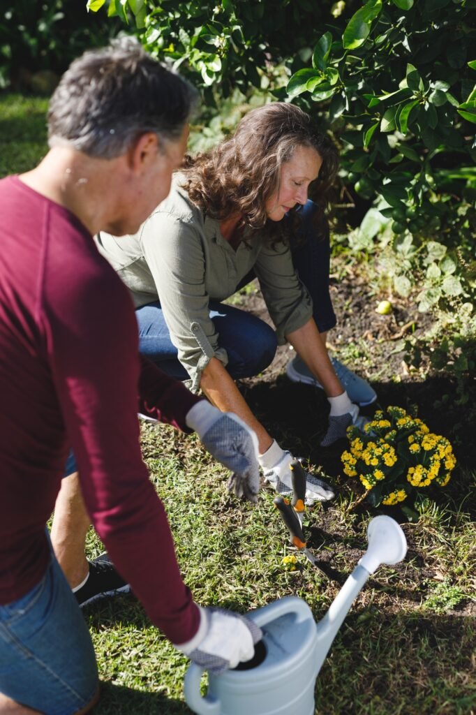 Happy senior caucasian couple gardening together in sunny garden